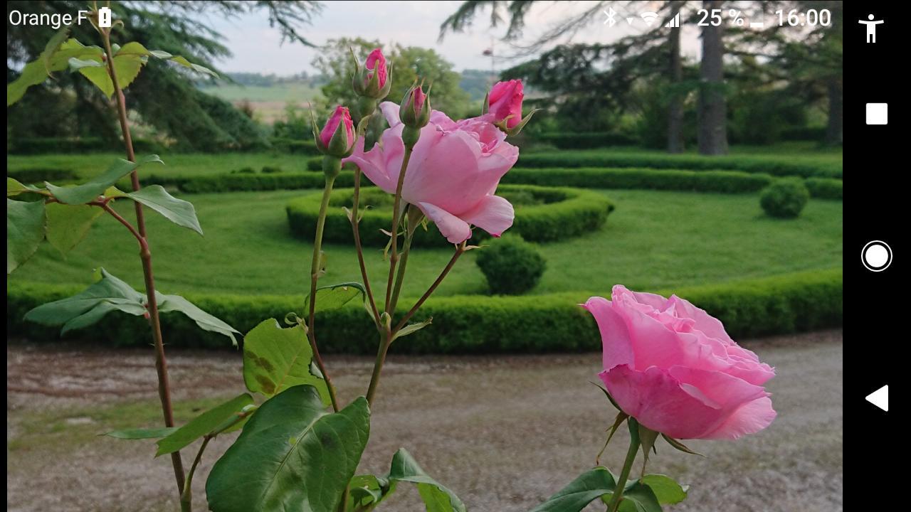 Chateau De Clermont-Saves Acomodação com café da manhã LʼIsle-Jourdain Exterior foto